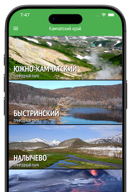 Скриншот приложения «Зелёная кнопка» на экране смартфона