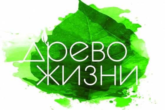 Объявляем о старте XI фестиваля «Древо жизни»