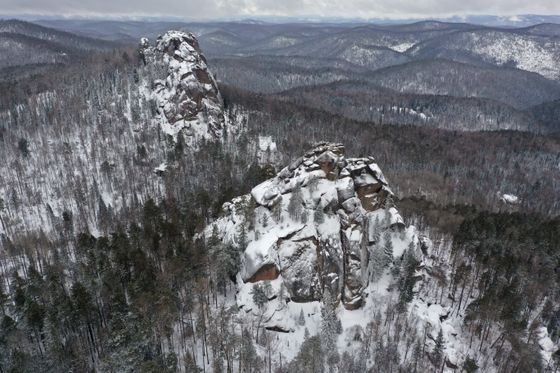 ​Медведи легли в берлоги