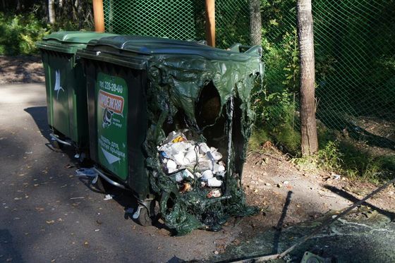 На «Столбах» из-за окурков, брошенных туристами, сгорели мусорные баки