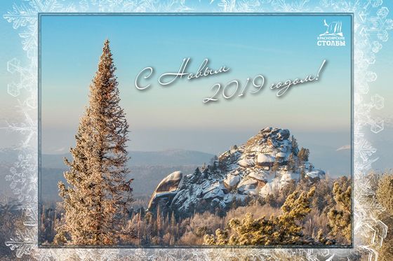 С Новым, 2019, годом!
