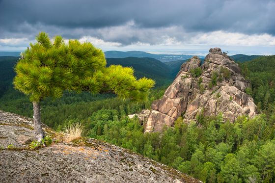 «Красноярским Столбам» 99 лет 