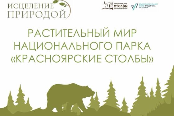 Онлайн-лекция «В мире насекомых»