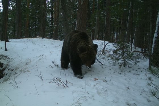 ​О безопасности посещения нацпарка