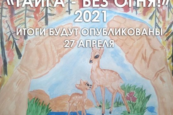Итоги конкурса переносятся