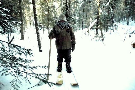 ​В заповеднике «Столбы» завершились 55-ые зимние маршрутные учеты