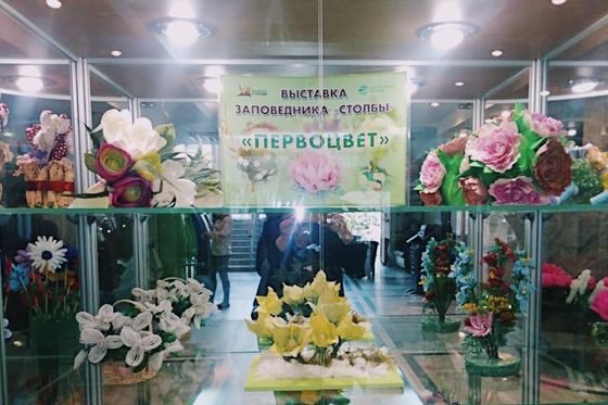 ​Красноярские первоцветы отправились в Москву
