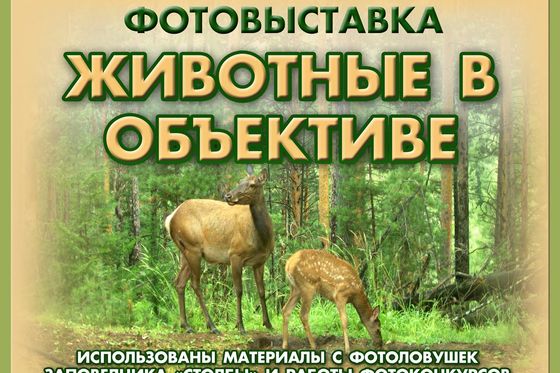 На "Перевале" открылась новая выставка