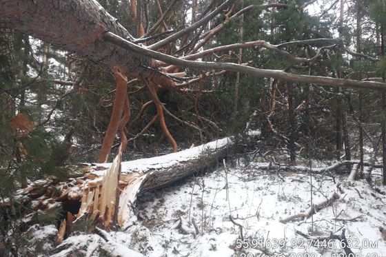​Последствия воскресного урагана