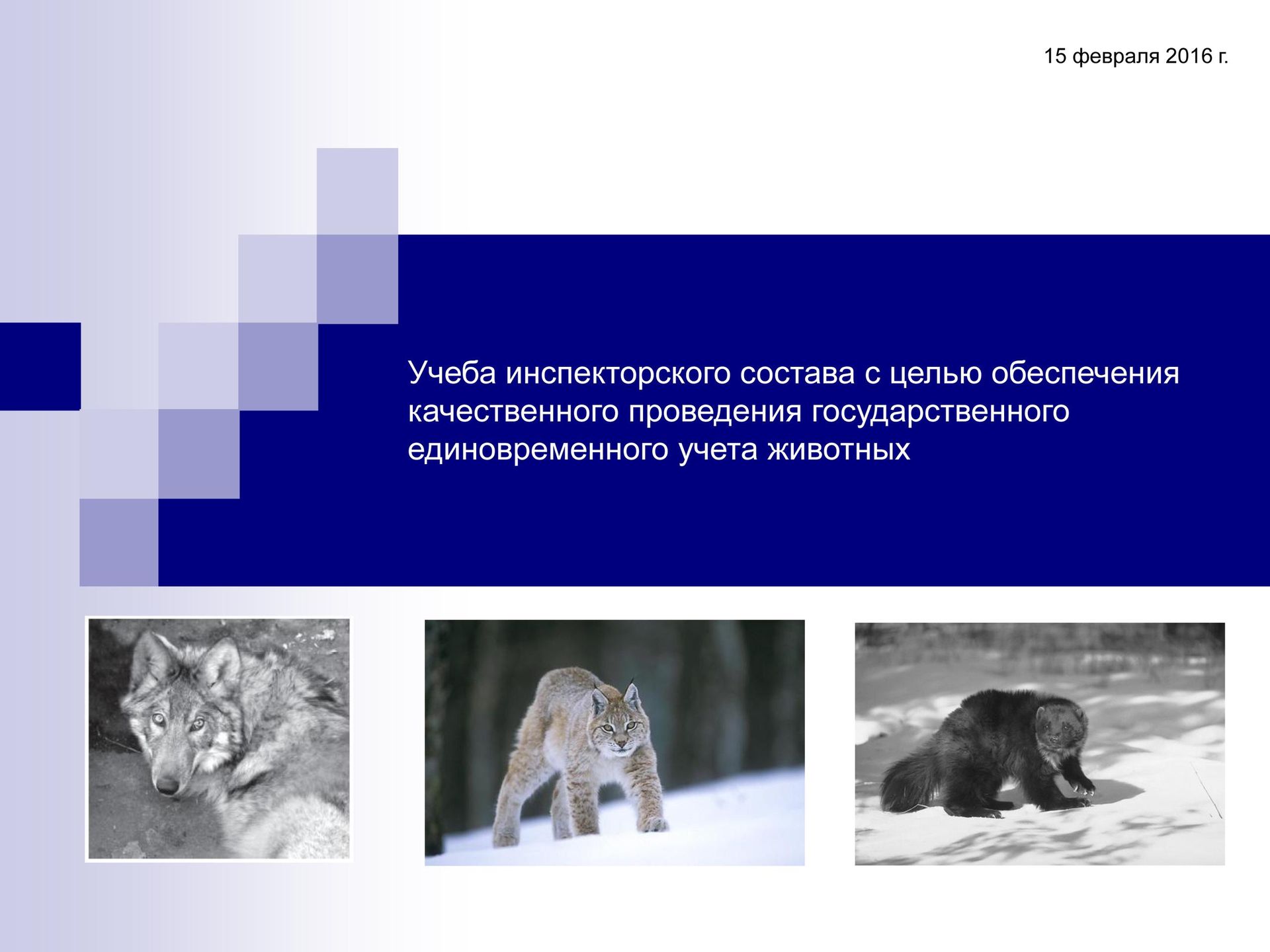 Фотография