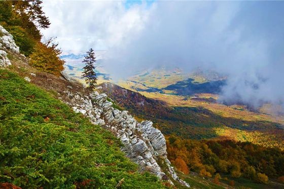 Крымские заповедники получили федеральный статус 