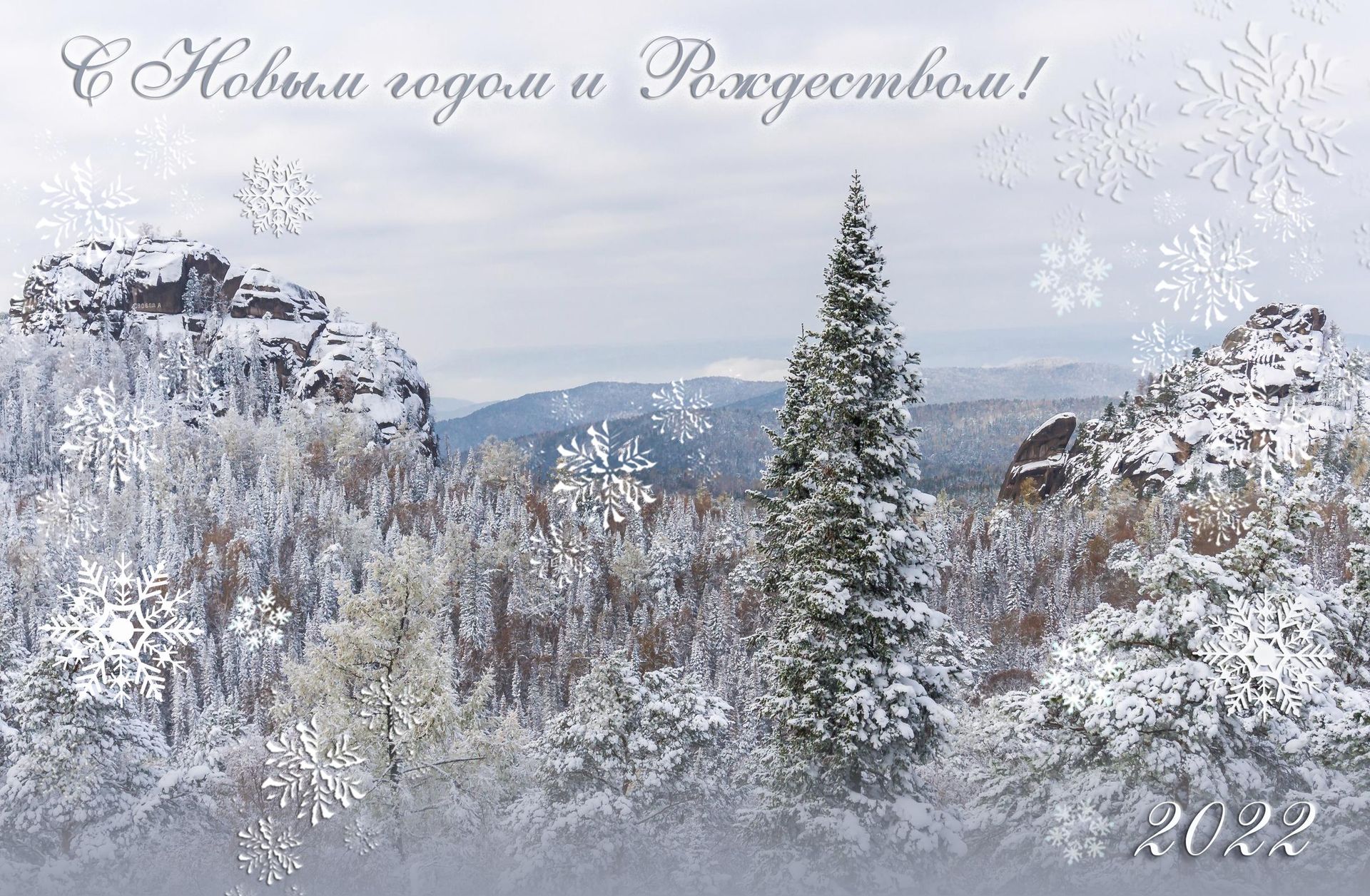 Фотография