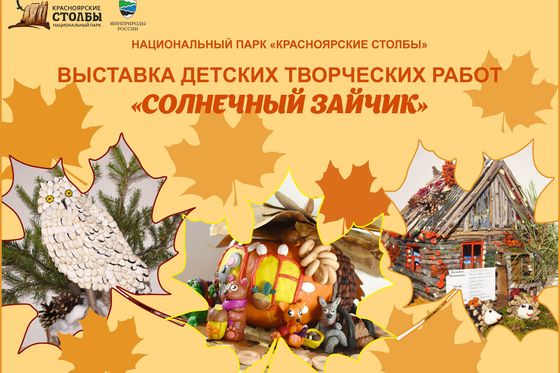 Итоги «Солнечного зайчика»-2020