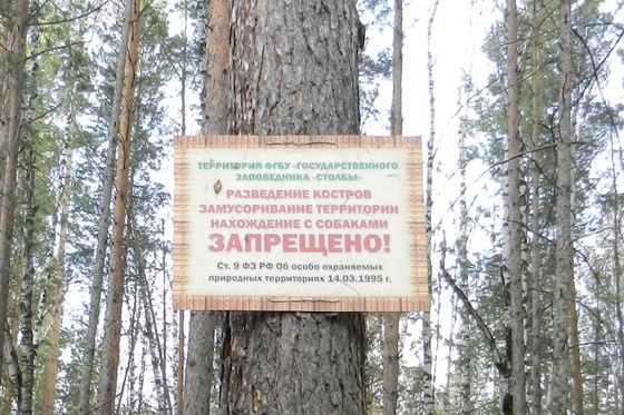 Буферная зона «Столбов» для туристов закрыта