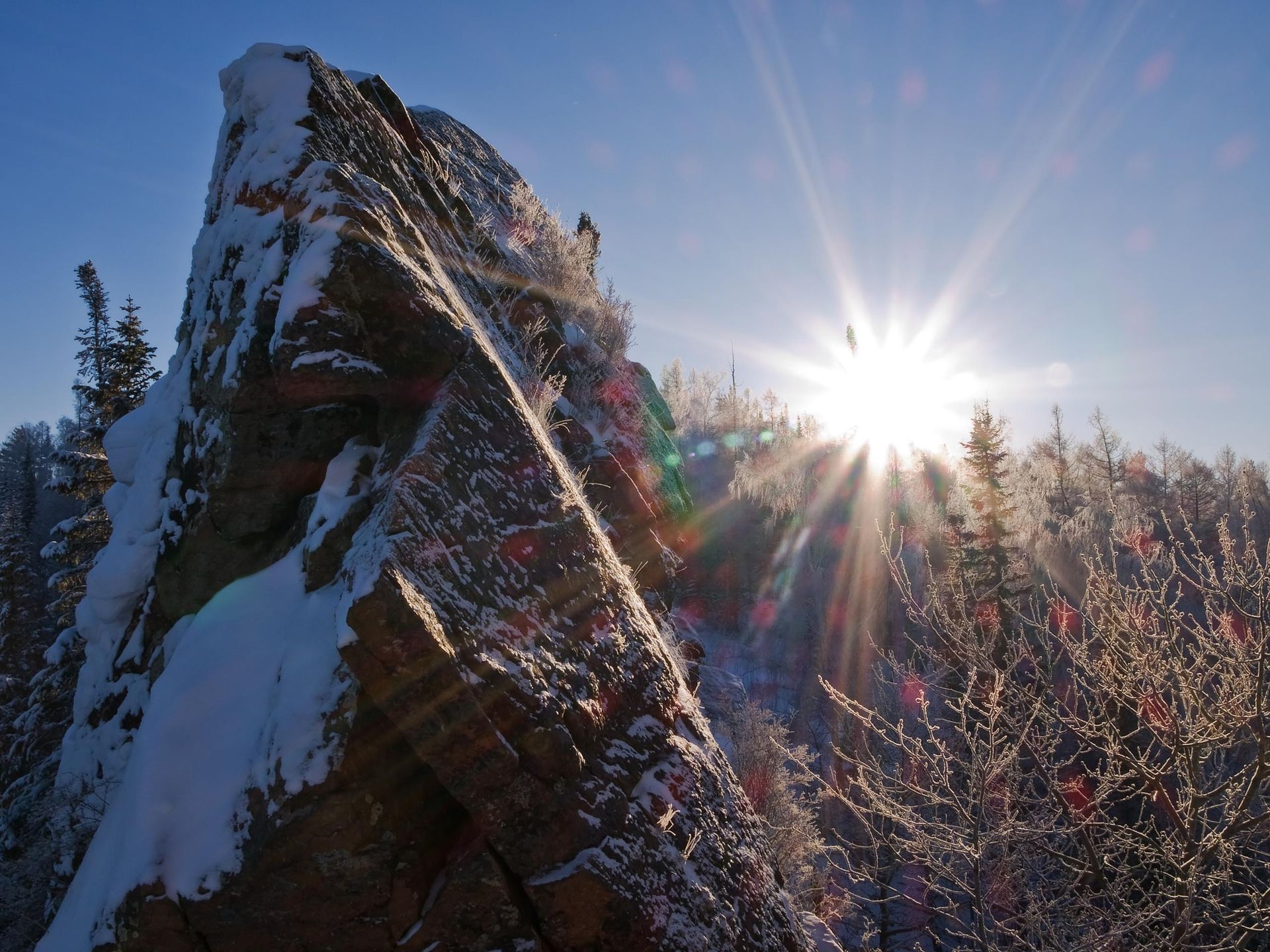 Фотография