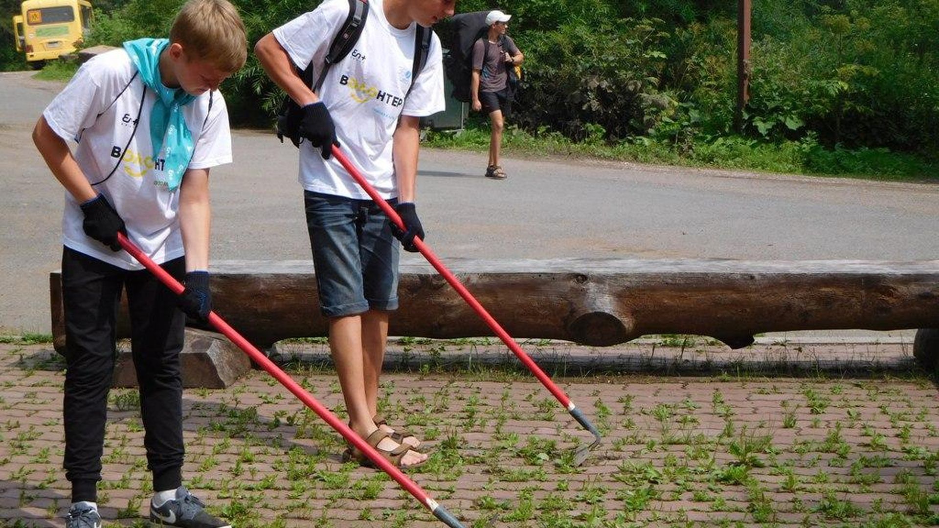 Фотография