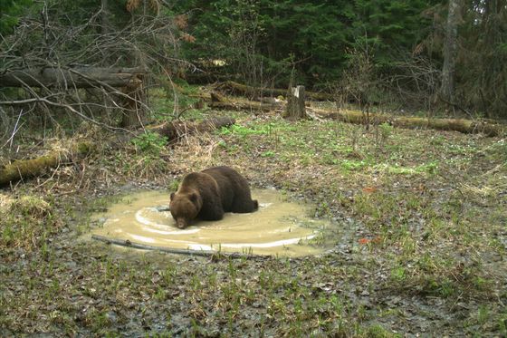 ​Поздний купальный сезон