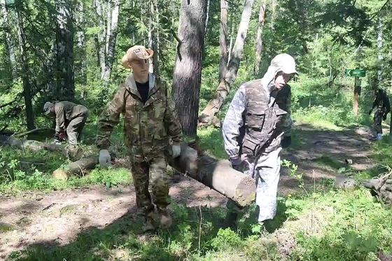 Не просто волонтёрство, а профориентация