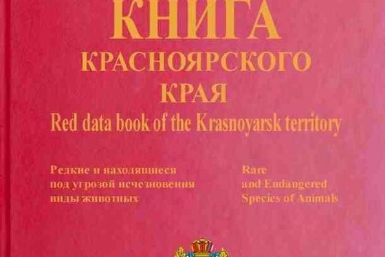 Стартует конкурс «Красная книга   Красноярского края.   От сердца к сердцу»