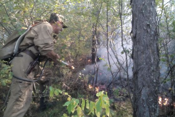 ​На Столбах открыт  пожароопасный сезон