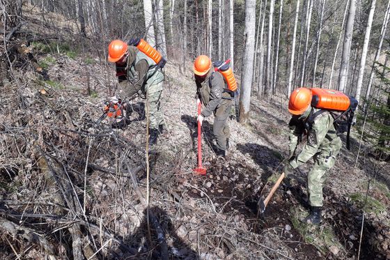 На «Столбах» начался пожароопасный сезон