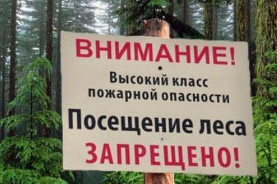 Из-за IV класса пожарной опасности посещение заповедника ограничено