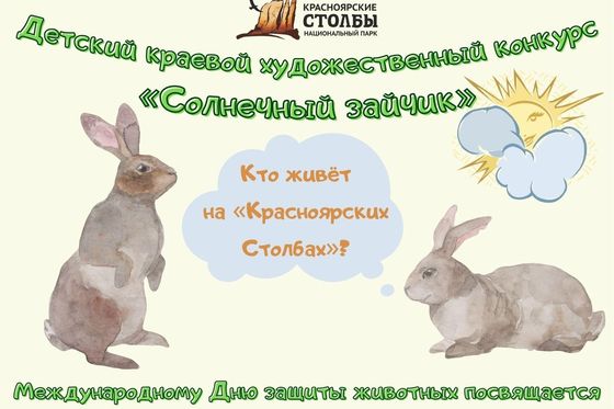 ​Старт «Солнечного зайчика»-2024