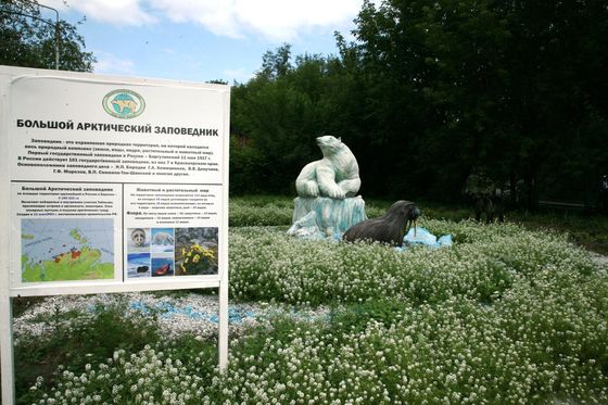 ​В красноярских школах реализовались проекты по созданию Заповедных уголков