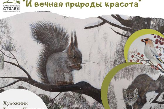 Красота природы в картинах сибирячки
