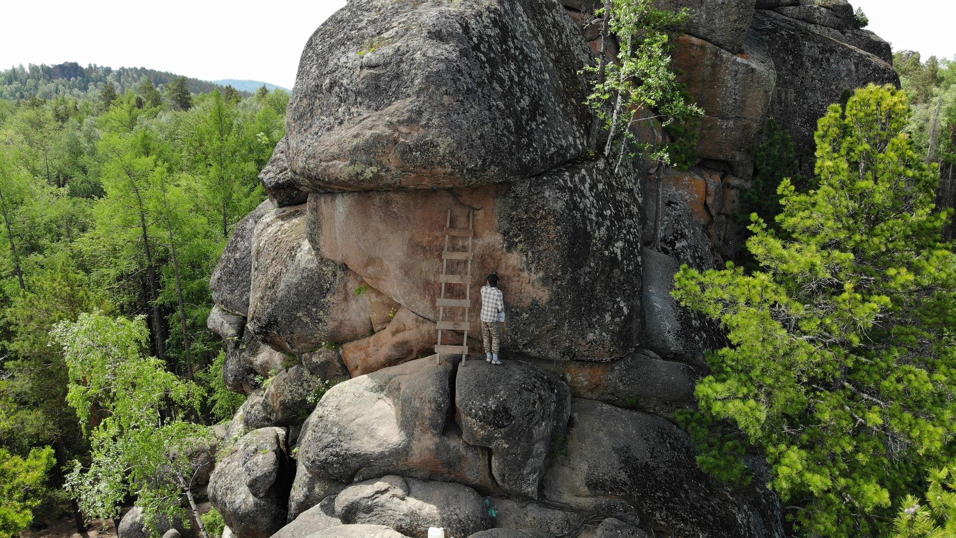 Фотография