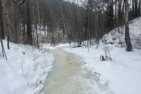 На территории гололедица