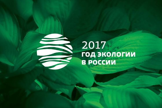 Эмблема Года экологии в Российской Федерации