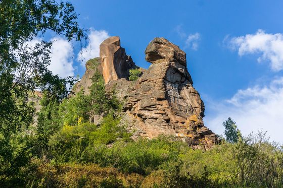 ​Голосуйте за «Красноярские Столбы» в проекте «Маршрут построен»