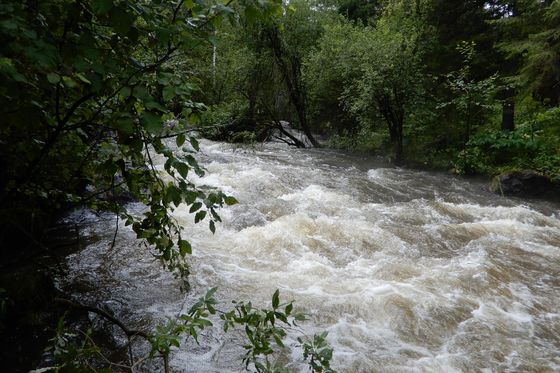​Вода, вода – кругом вода….