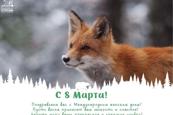 С 8 Марта!