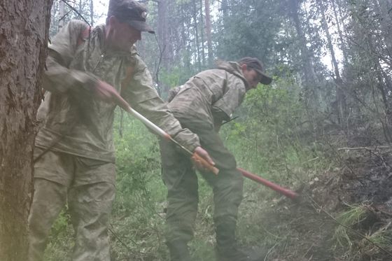 ​«Жаркие» выходные на «Столбах»