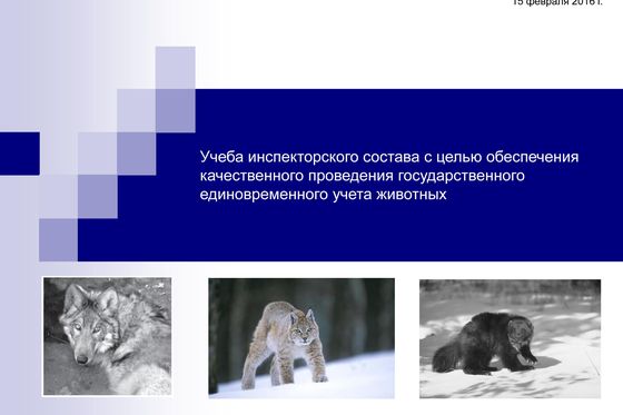 Семинар по зимнему учету на "Столбах"