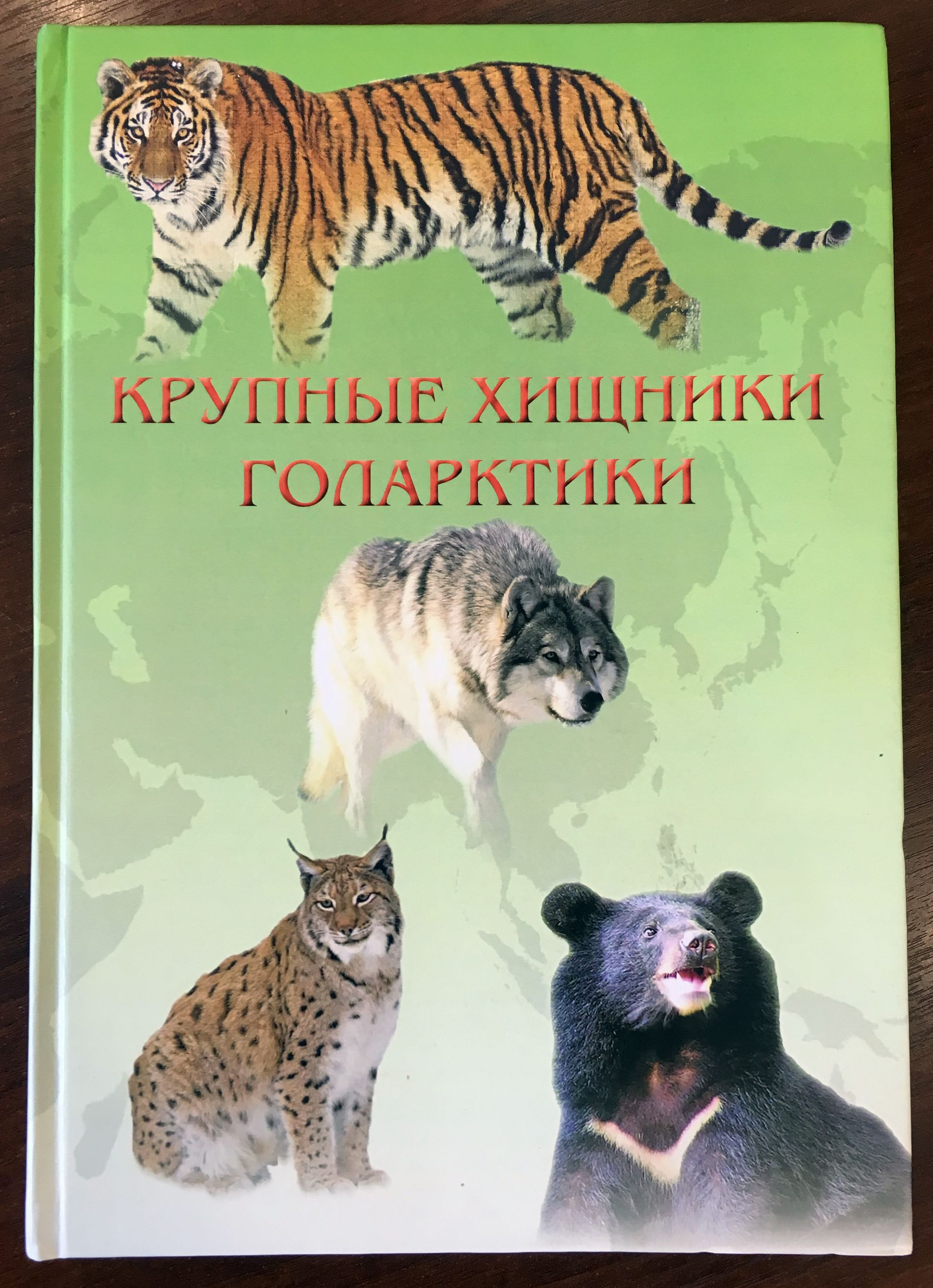 Фотография