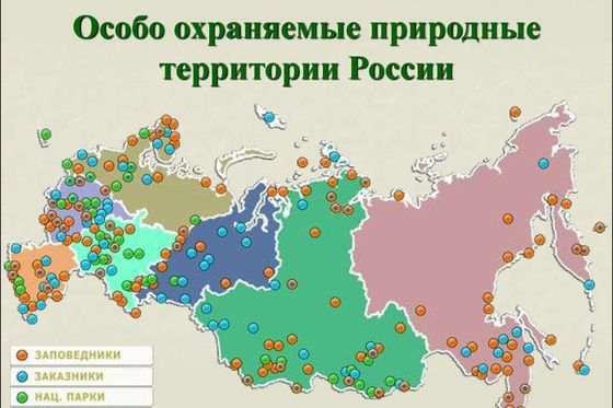 В сочи состоится Всероссийский форум по особо охраняемым природным территориям