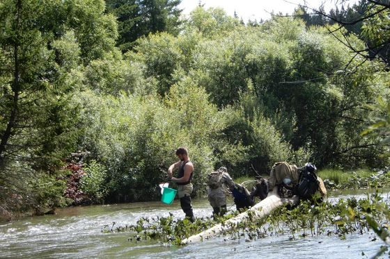 Проверяем экологическое состояние заповедных водоемов