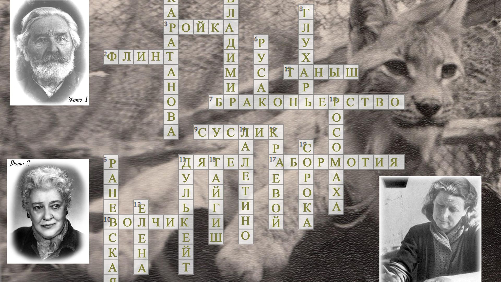 Фотография