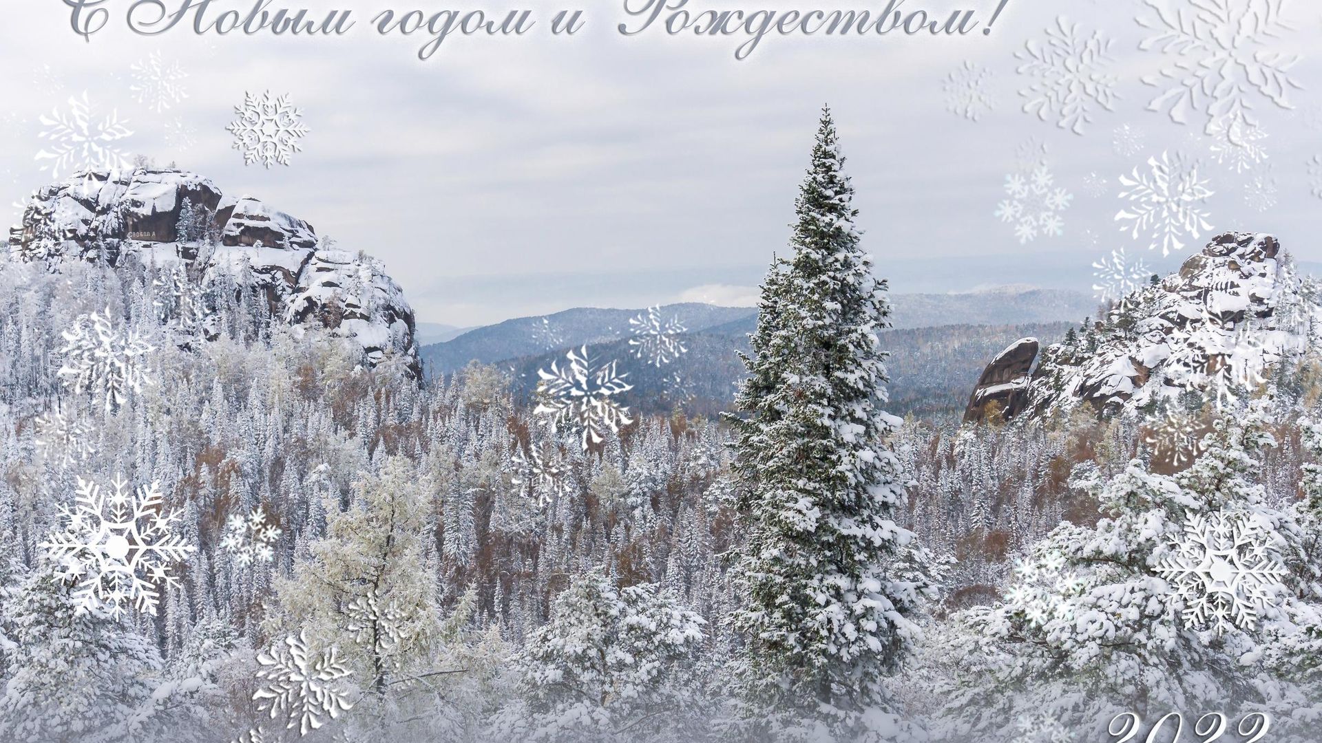 Фотография