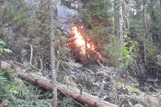 Пожар на «Красноярских Столбах» ликвидирован