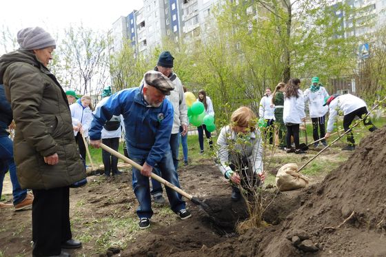 Сквер памяти Крутовских