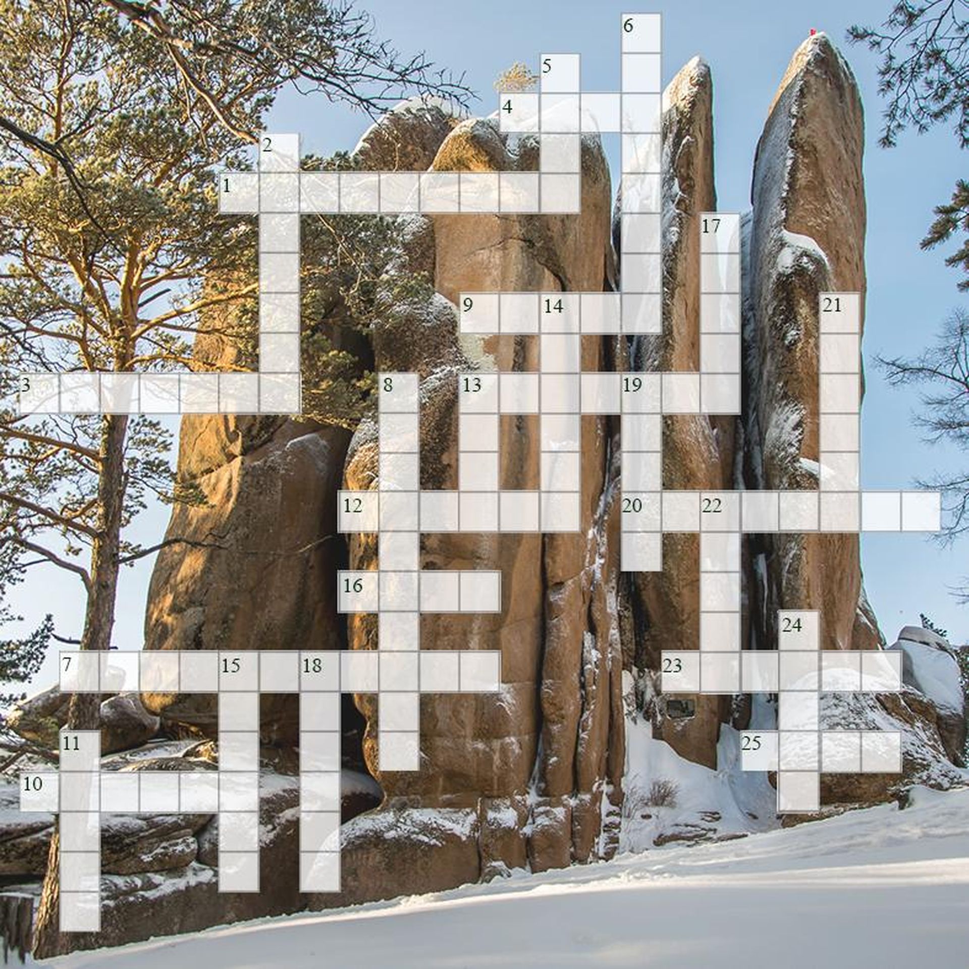 Фотография