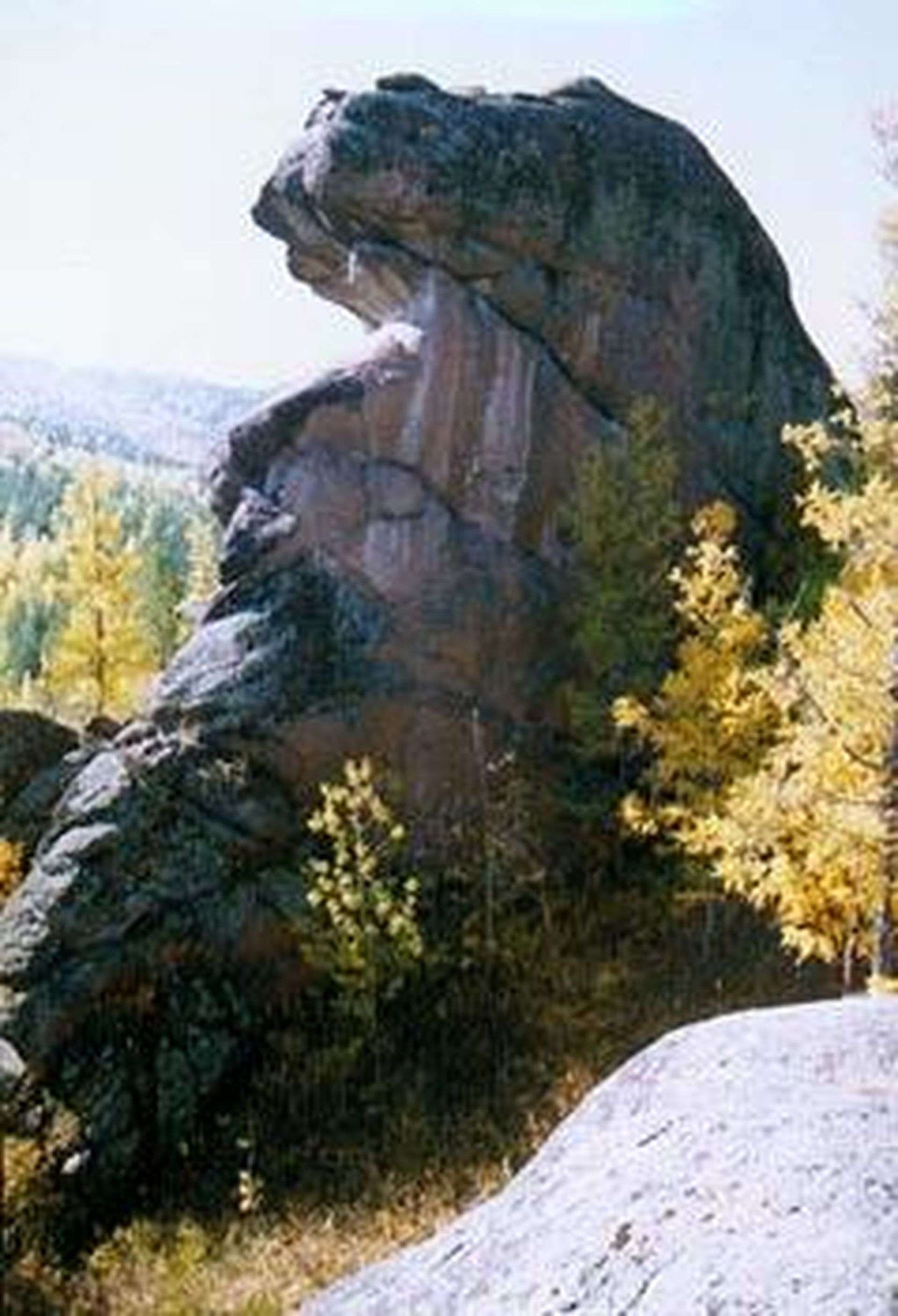 Фотография
