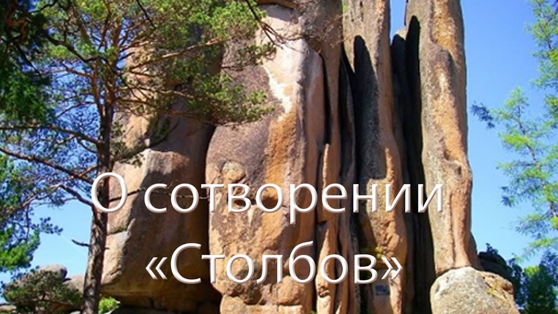 Фотография