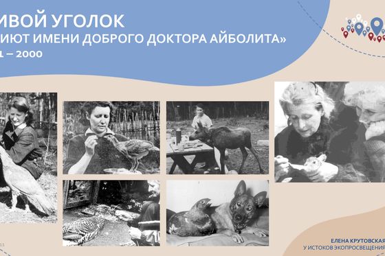 О Крутовской на Всероссийской онлайн-экспедиции