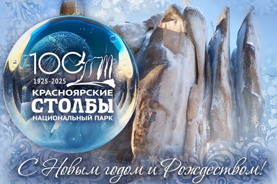 С наступающим Новым 2025 годом!
