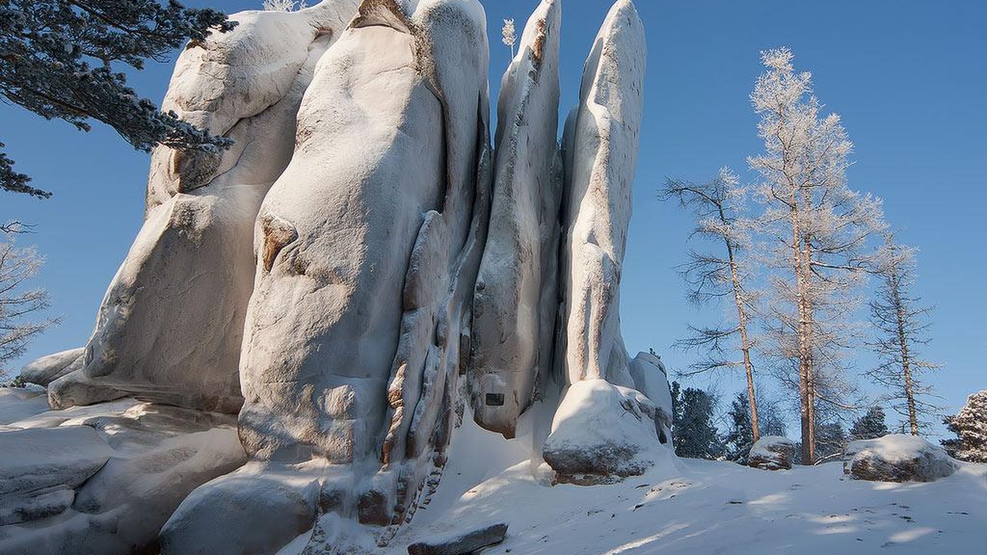 Фотография